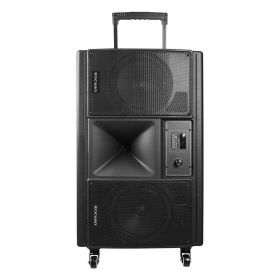 Portable High-Performance Wireless 2-Way Party Speaker