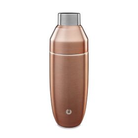 Stainless Steel Cocktail Shaker, Gold